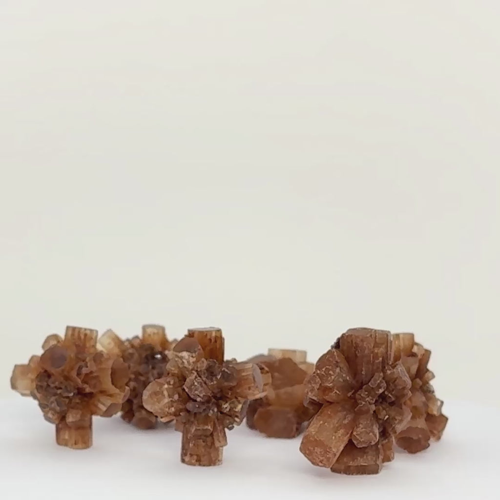 Sputnik Aragonite
