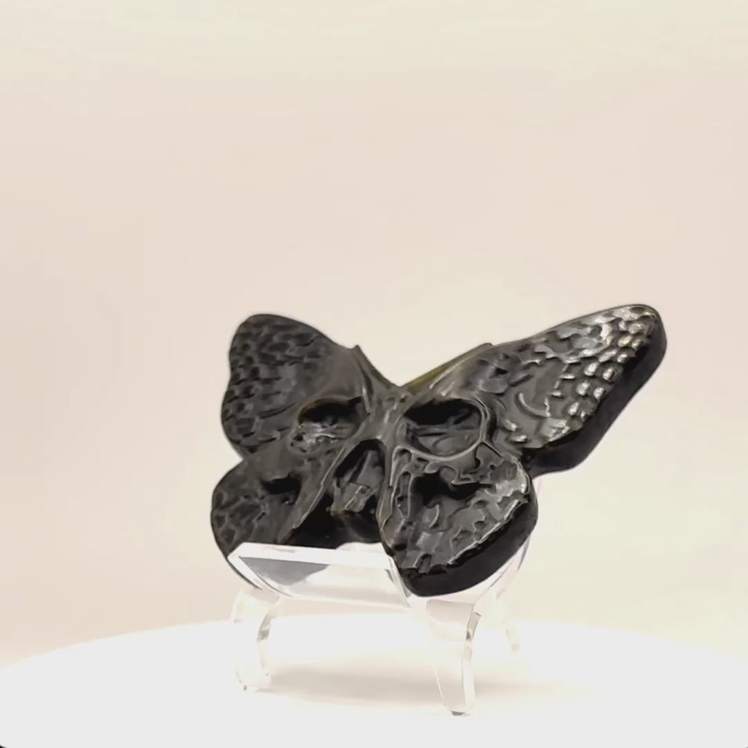 Obsidian Skull Butterfly Carving with Gold Sheen